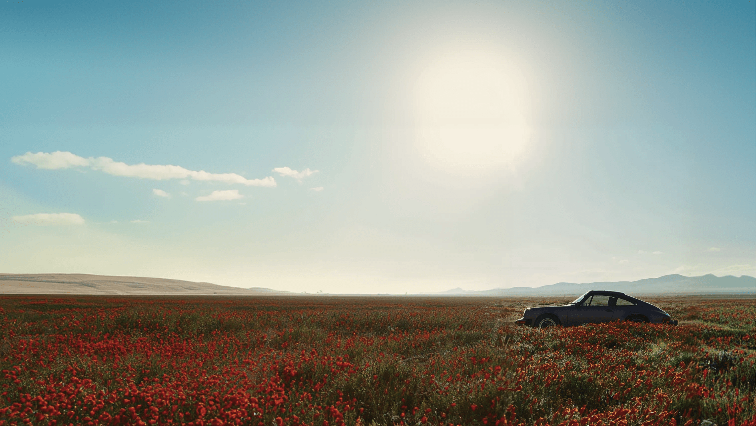 Olfactory - Natural car freshener in landscape